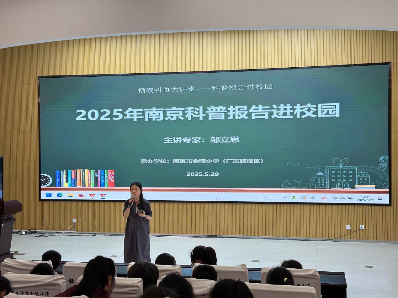 与粽不同的植物_html_m4fadb3b8.jpg
