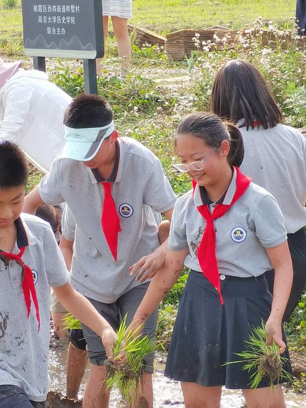 【湖畔光影】田间插秧践初心 红色传承担使命——记金陵小学（仙林湖校区）劳动实践活动_html_26193c2b.jpg