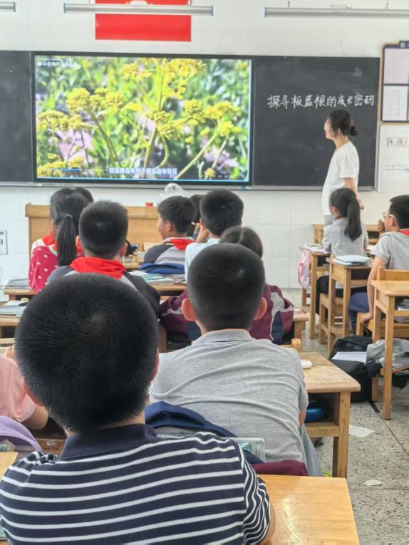 【博学广志】探寻板蓝根的成长密码——南京市金陵小学广志路校区科学组校本主题研修_html_5bc78928.jpg