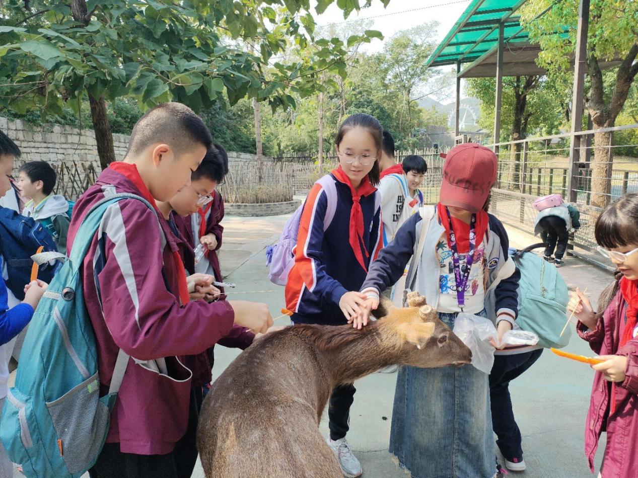 【湖畔•学生活动】秋日拾趣，一路童行金陵小学（仙林湖校区）六年级秋季综合实践活动_html_m287e48e6.jpg