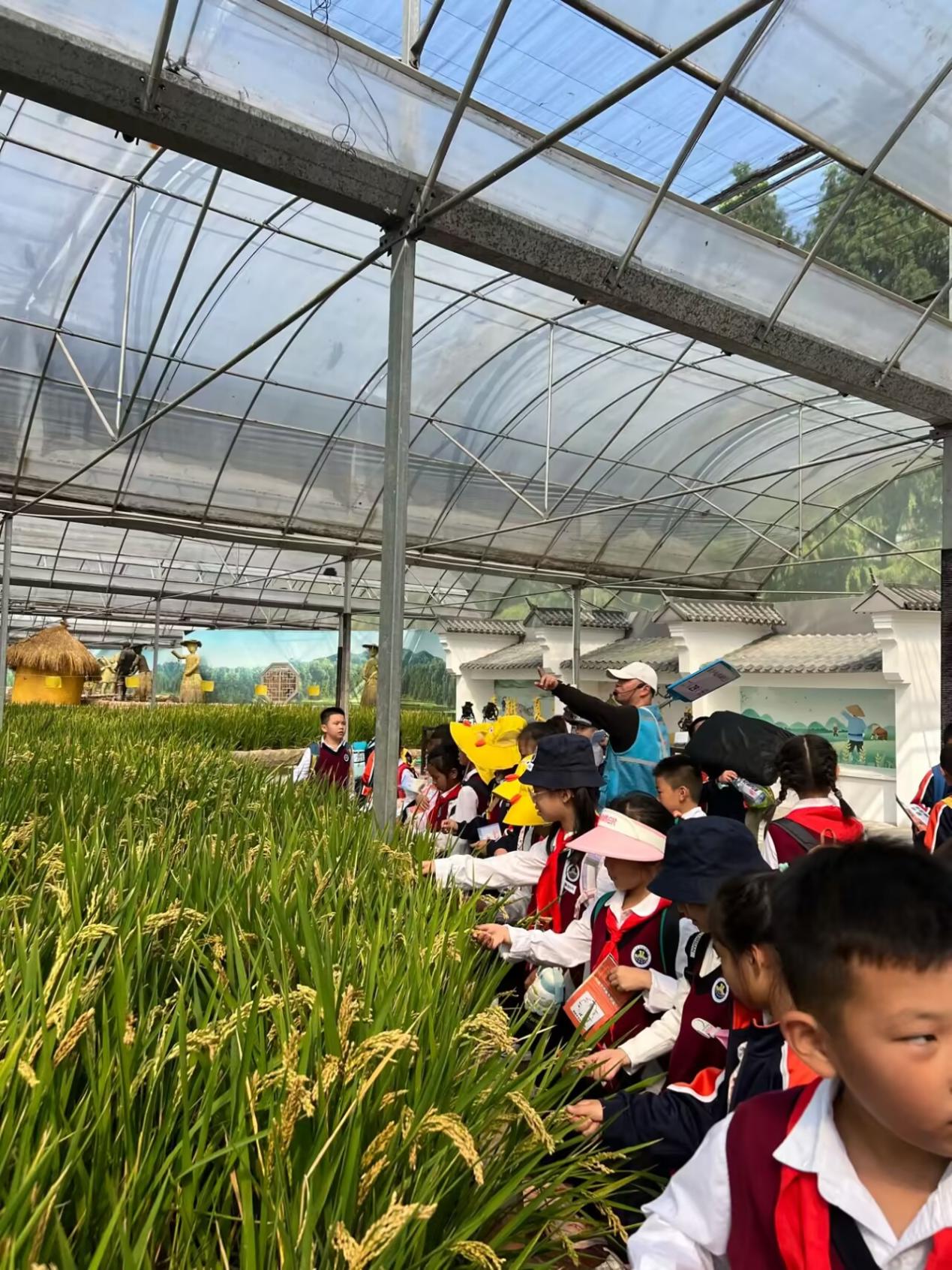 【湖畔·学生活动】感受自然之美——金陵小学（仙林湖校区）二年级秋季综合实践活动_html_m1d559570.jpg