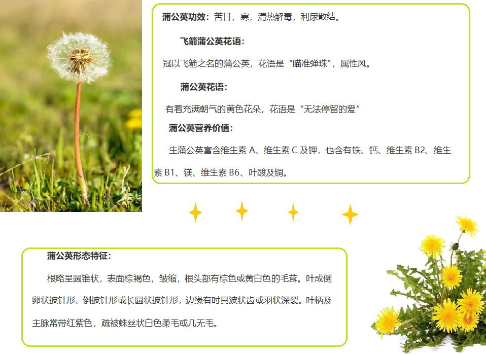 【博学广志】科普筑梦广志路，飞舞旅行蒲公英(1)_html_1bfe4ade.png