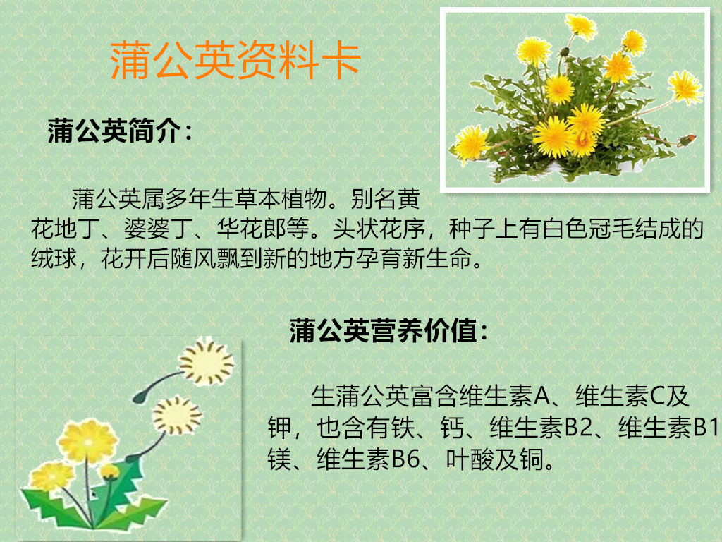 【博学广志】科普筑梦广志路，飞舞旅行蒲公英(1)_html_384a5a00.png