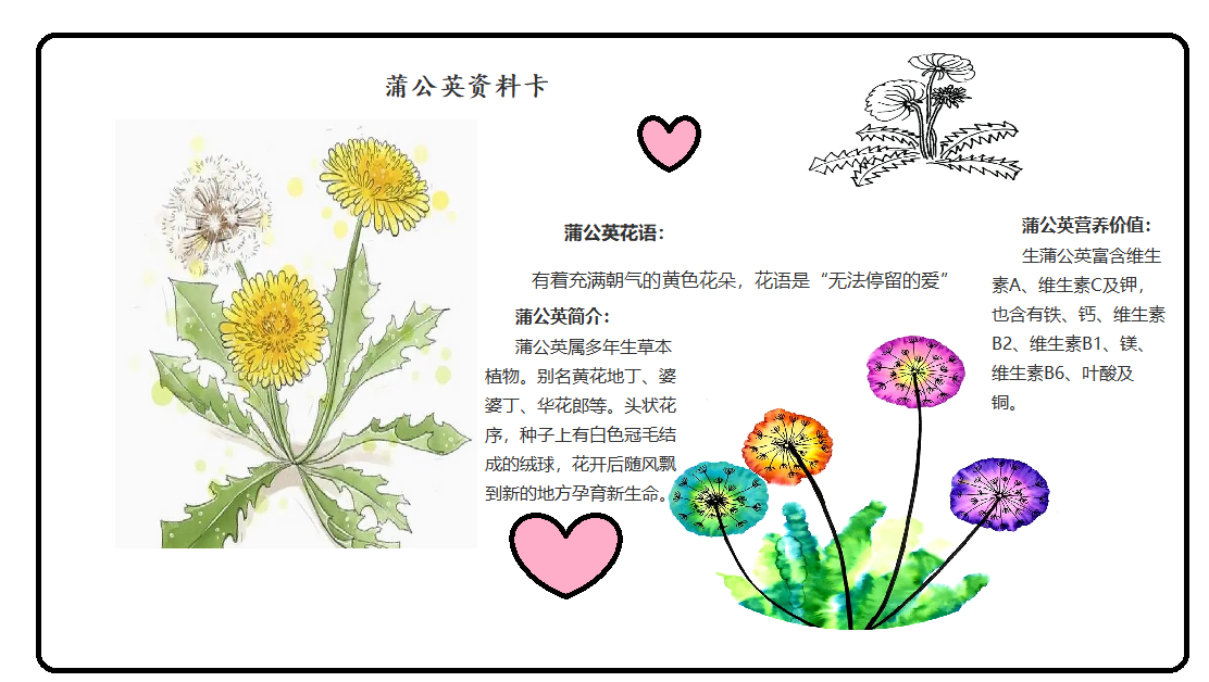 【博学广志】科普筑梦广志路，飞舞旅行蒲公英(1)_html_667a7891.png