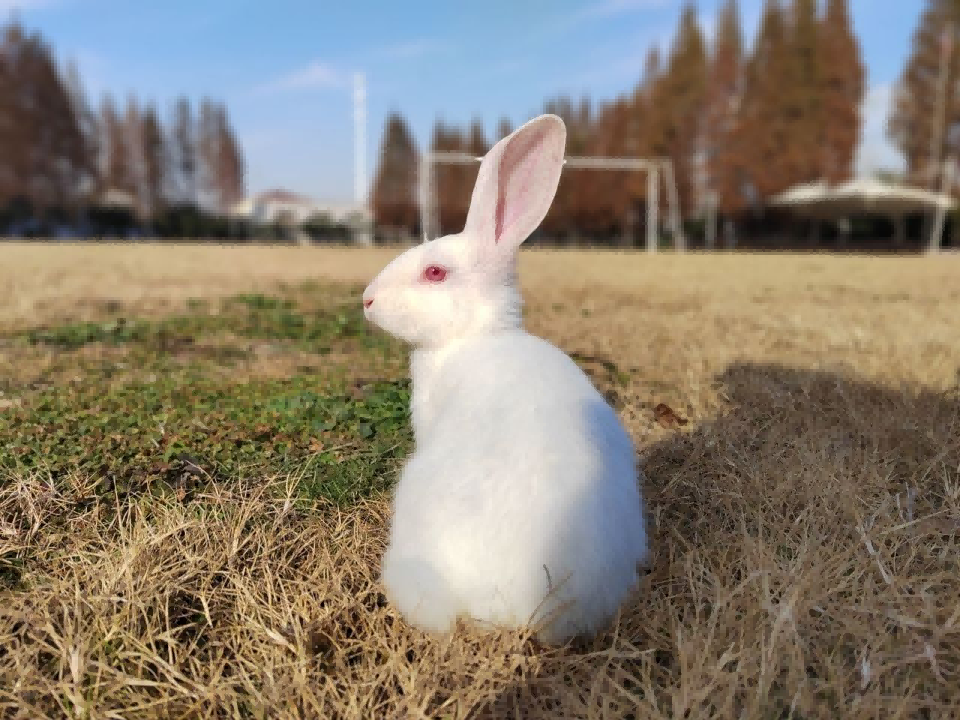 20211人防_html_m4e76f991.png