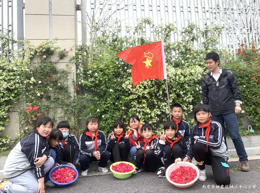 220429石埠桥小学开展劳动主题教育活动4.jpg