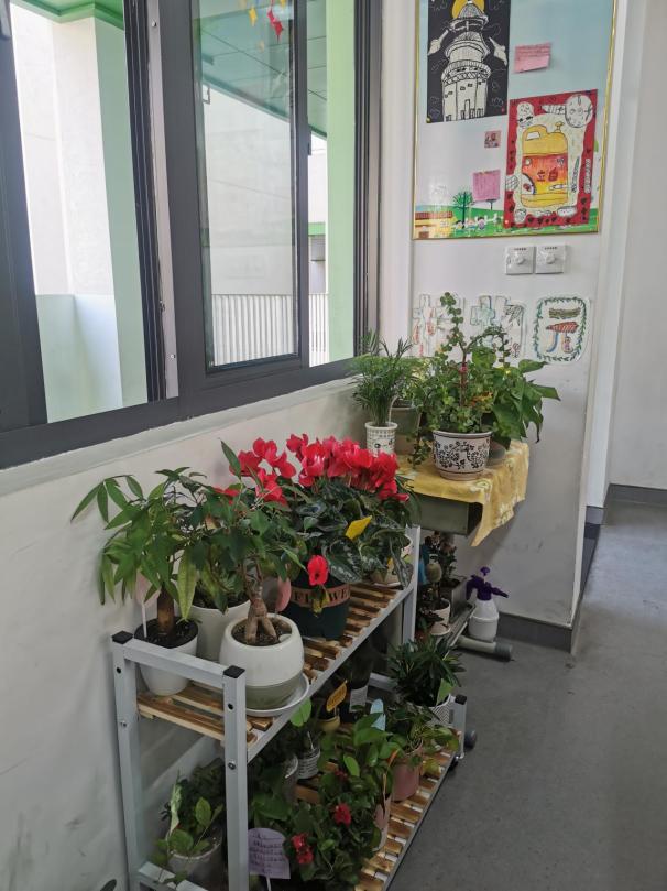 C13-1校园环境_html_m7f7d7a8d.jpg
