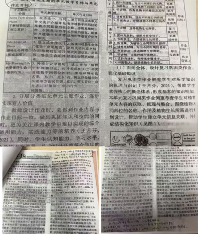 报道1_html_md492100.jpg