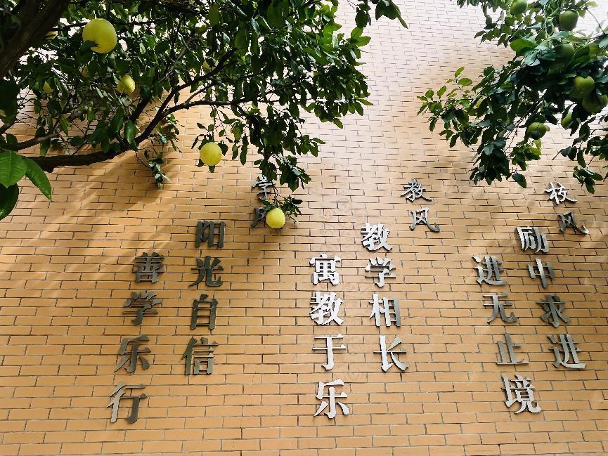 幕府校园秋景新闻稿_html_765787c4.jpg