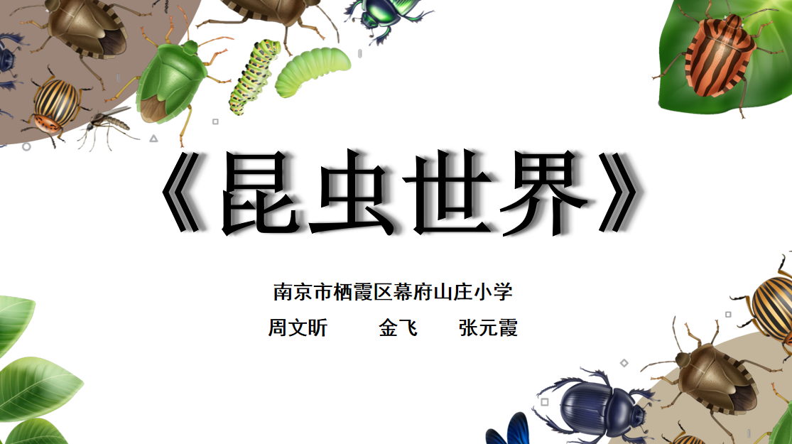 南京市幕府山庄小学科学组微课《昆虫总动员》斩获南京市二等奖_html_27b079dd.png