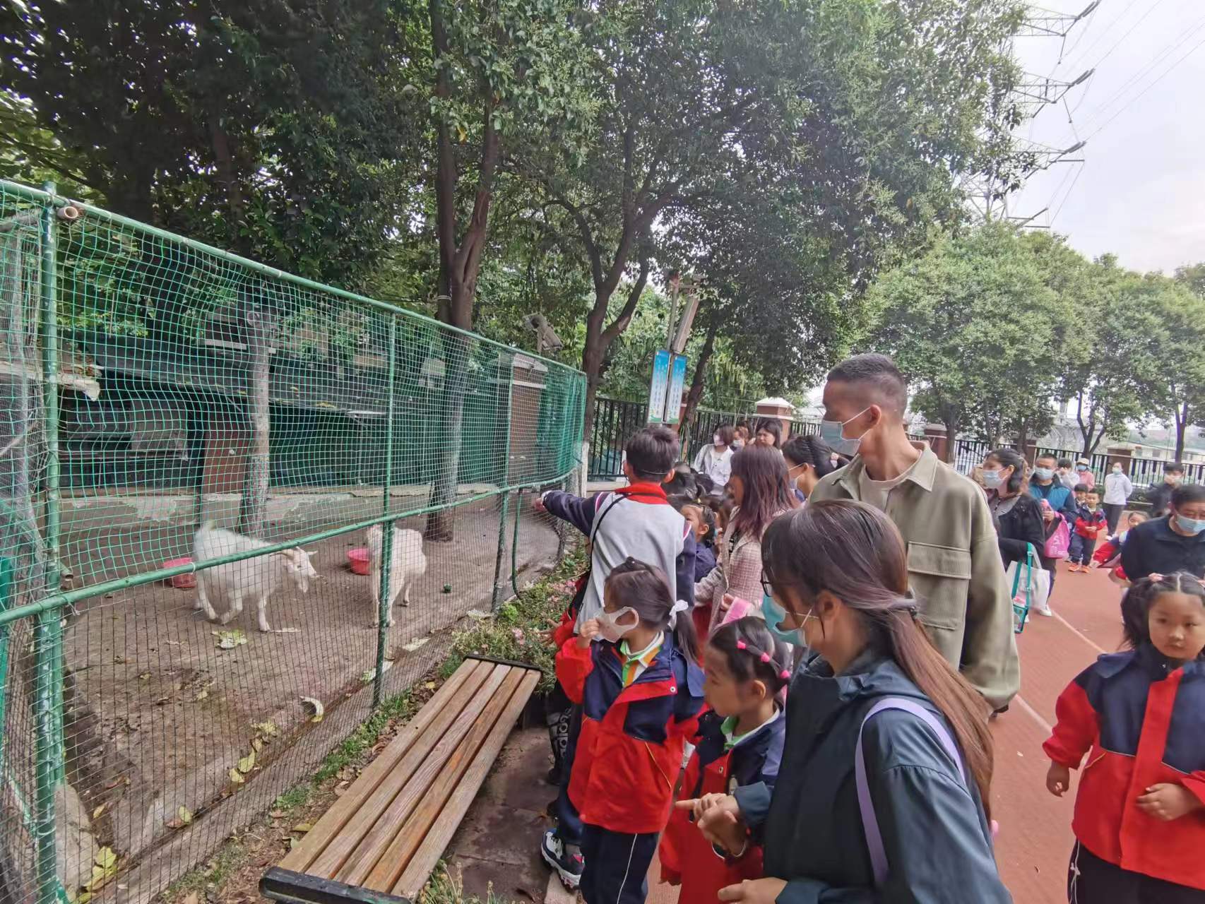 幼小衔接报道_html_m3a84af70.jpg