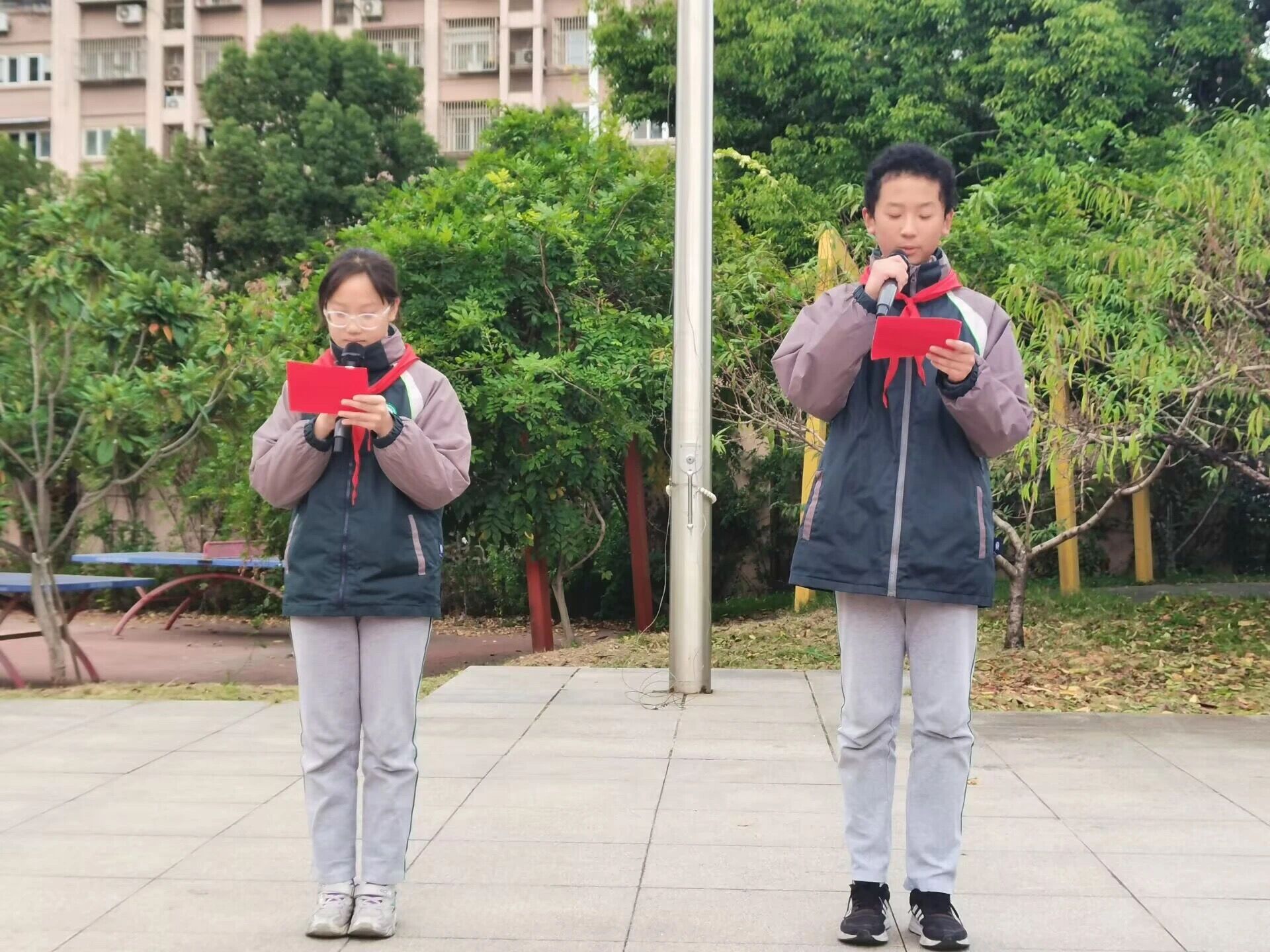 QQ图片20241119092554.jpg