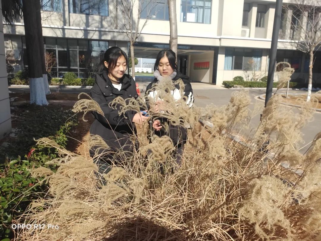学中玩，玩中学_html_2de763c8.jpg