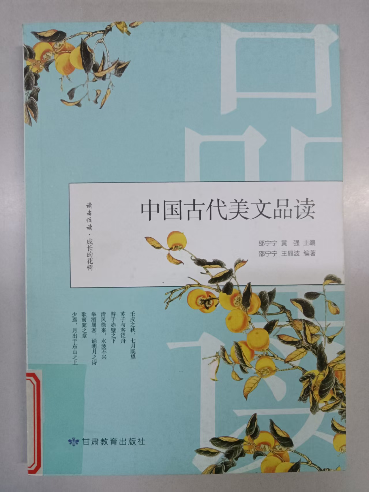 2025.12 新书推荐_html_m1111b7ab.jpg