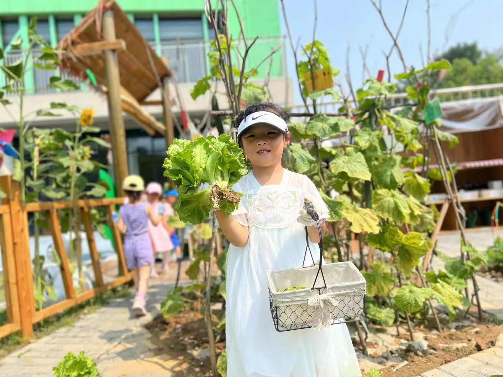集团种植地评比新闻_html_m6ada0f01.jpg