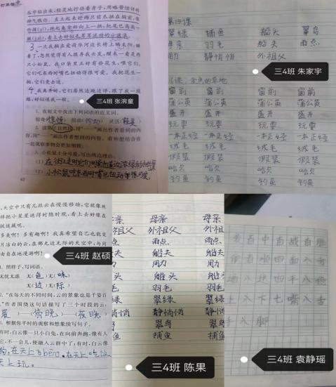 【正学丁三】晒优秀作业，亮学生风采_html_762d28aa.jpg