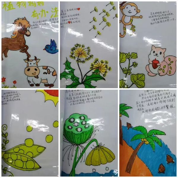 绘本阅读汇报报道_html_4646dc73.jpg