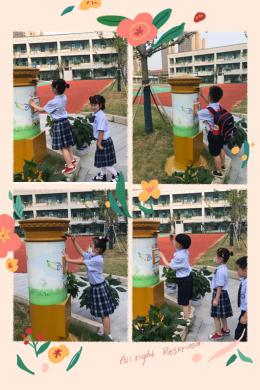 放飞梦想 逐梦起航_html_m7c8d0d63.jpg