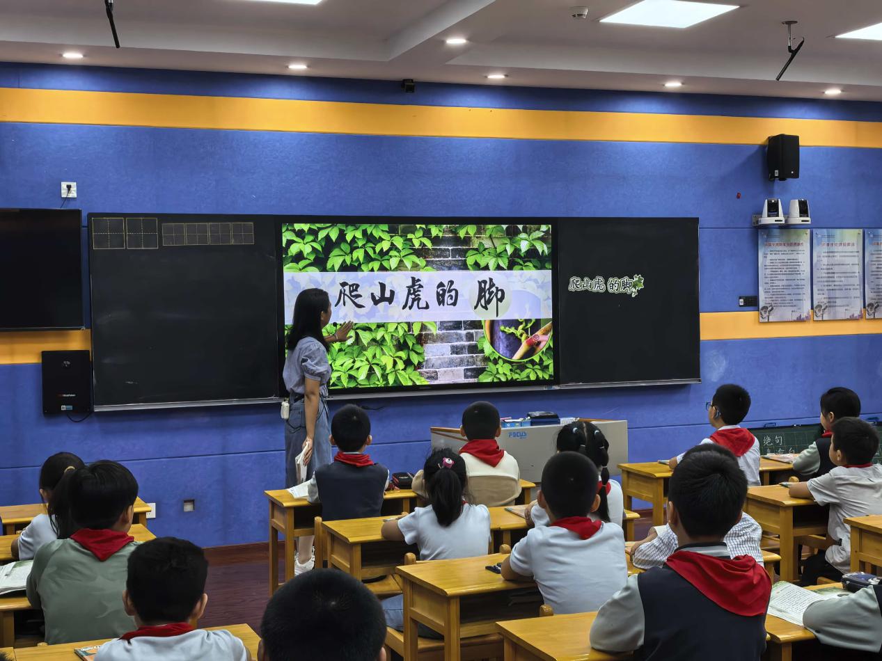 【正学丁三·教学】精研观察之道，共促教学相长(1)_html_m3ae95b1c.jpg