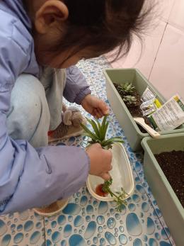 3月14植树添新绿，不负好春光植树节活动报道_html_7b3acc41.jpg