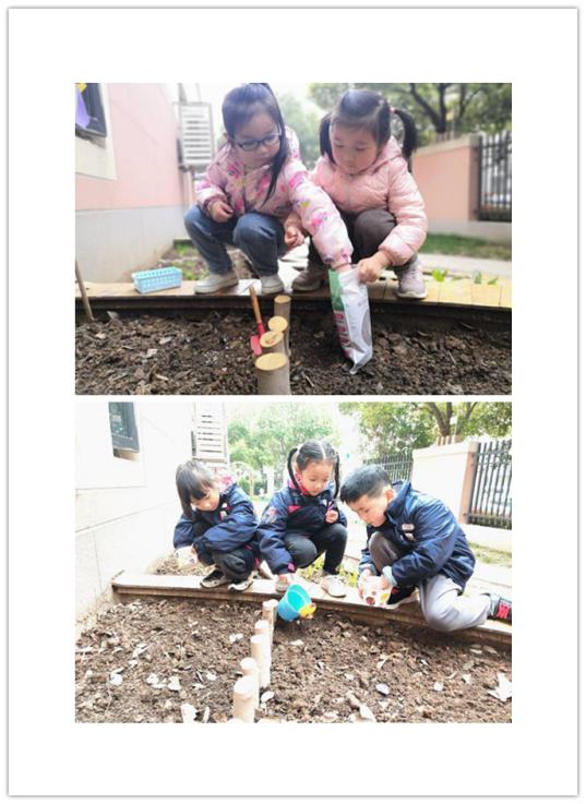 迈幼一分园3月12日植树节报道 （最终版本）_html_1786eeff.jpg