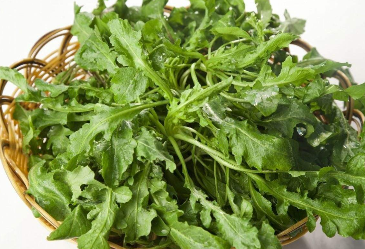 【生命迈幼.安全第一】健康饮食，快乐成长_html_m4ff4637b.png