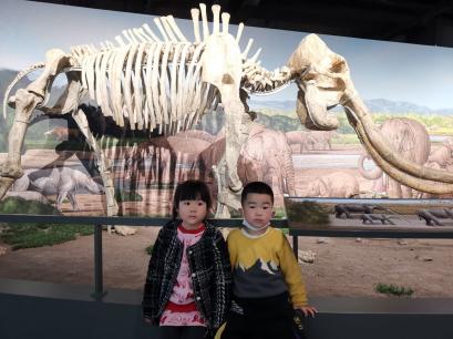 2021.4.19 左琳琳 走进南京古生物博物馆_html_m6f33eaab.jpg
