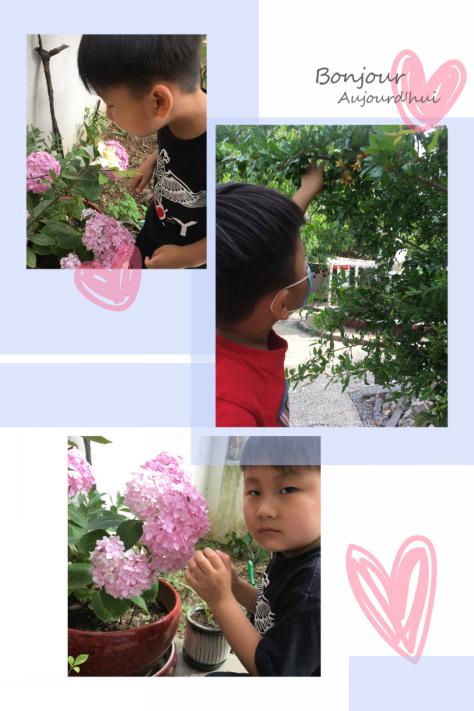 2020.6.5 汪莹 绿色生命 童心守护(1)_html_74535192.jpg