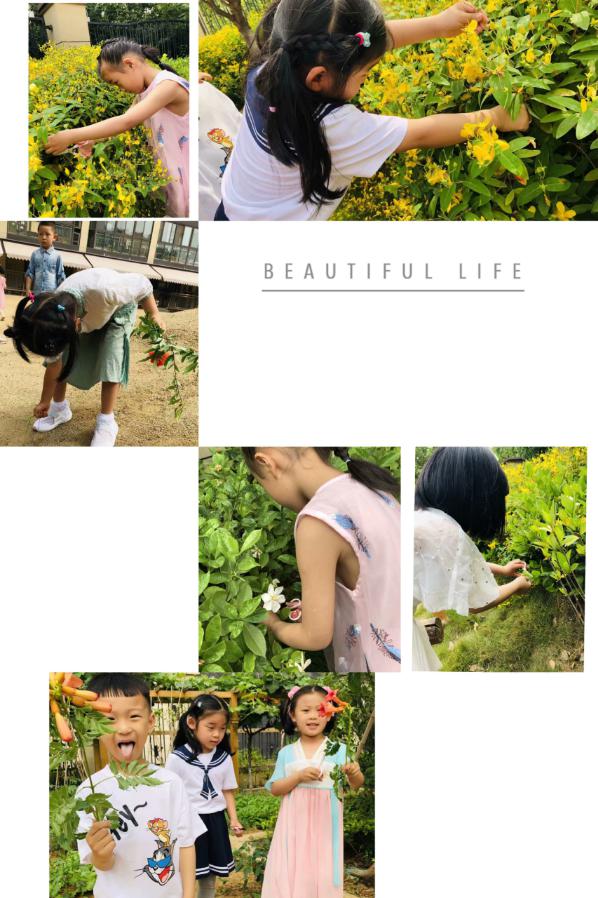 2020.6.1 王婷 六一报道_html_4e99a984.jpg