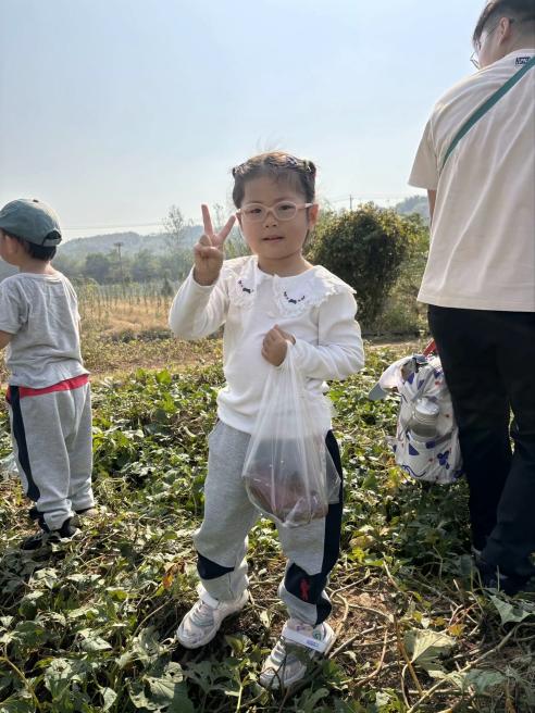 定稿：【生命迈幼·留住“秋”迹】探秘秋日，悦享秋游——迈幼嘉誉山分园秋游活动 (修改)_html_m87ee8a6.jpg