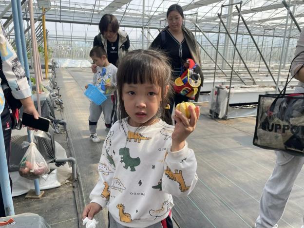 定稿：【生命迈幼·留住“秋”迹】探秘秋日，悦享秋游——迈幼嘉誉山分园秋游活动 (修改)_html_m781c2c92.jpg