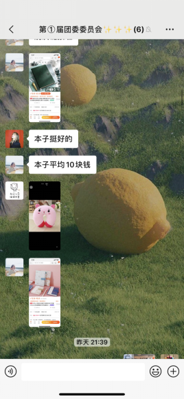栖霞区迈皋桥幼儿园团委召开第一届委员会第三次全体会议_html_m1b98b46c.png