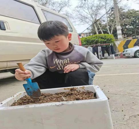 20210316新城园区大班植树节活动_html_2d84d5df.jpg