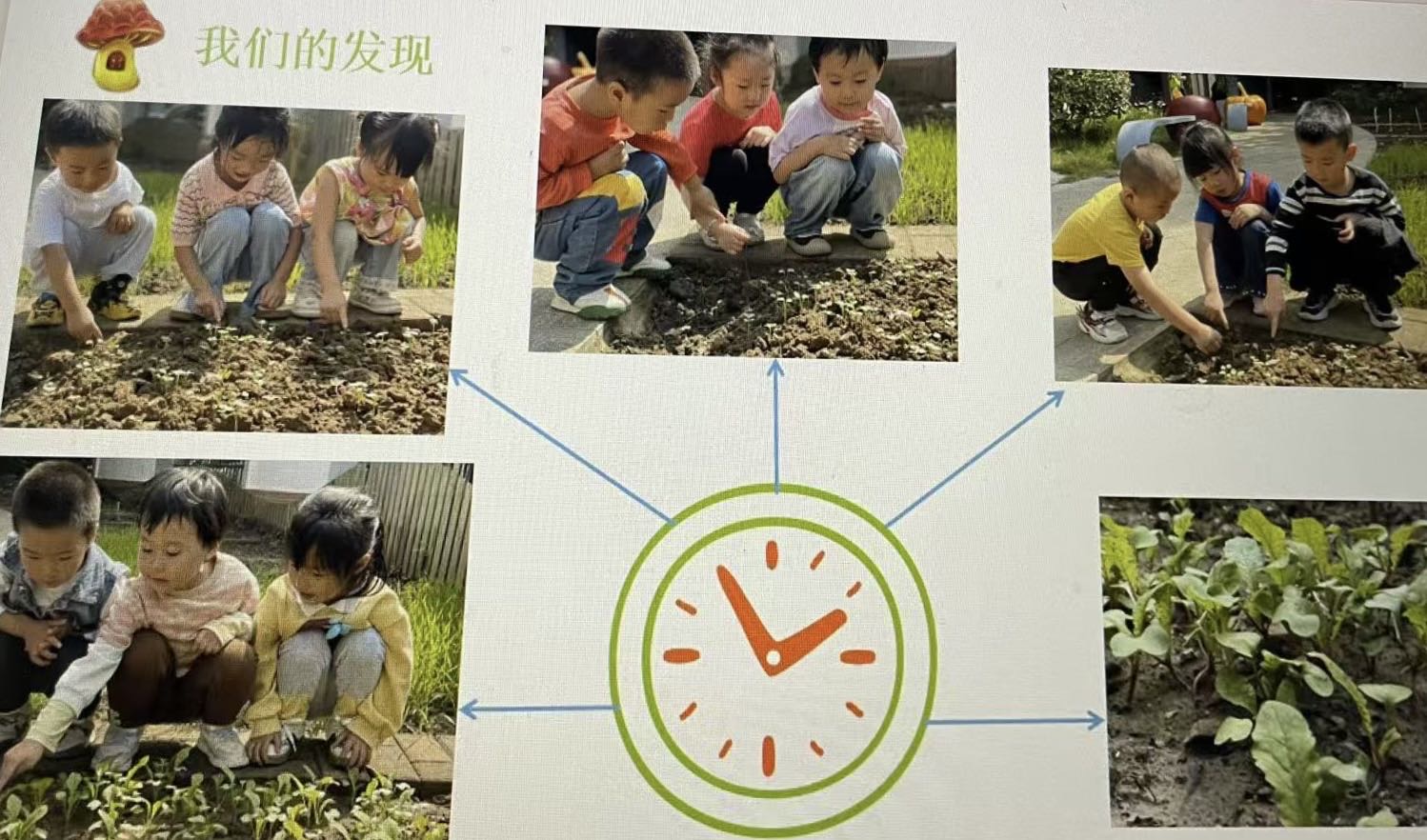 【20241231生活燕幼·园区动态】下庙分园：“班本源于生活，课程助力成长 ”——班级项目课程终期汇报暨评比活动_html_m63e48228.jpg