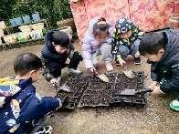 20240305中二班惊蛰节气活动_html_m65291944.jpg