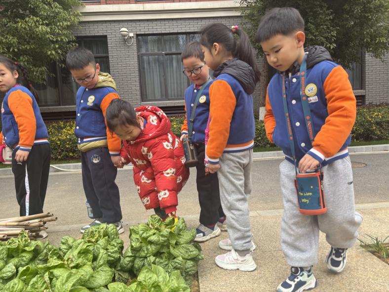 20250310【生活燕幼&middot;园区动态】新城分园：“趣”当小学生 衔接促成长 —— 大班年级组走进小学活动_html_2f9e44aa.jpg