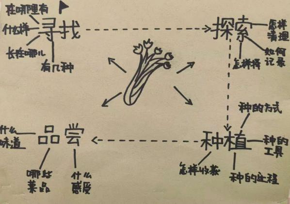 【年级组动态】祥和园区：遇见芹菜_html_1ba4d8b.jpg