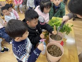 【年级组动态】祥和园区：遇见芹菜_html_m6df267ab.jpg