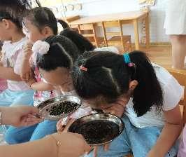 20230908 【生活燕幼•班级动态】  燕幼中心园：“白露秋分夜，一夜凉一夜”_html_3a796858.jpg