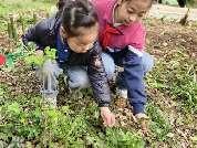 20250328大班春日亲子研学活动_html_7ab7de84.jpg