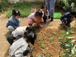 祥和园大班年级组清明项目活动新闻稿_html_m72101c8d.png