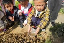 20210531祥和园种植团新闻_html_m62694267.jpg