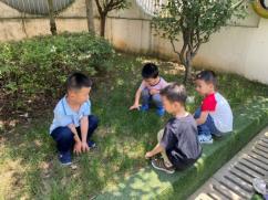20210604祥和园区芒种节气活动_html_6aa7b18b.jpg
