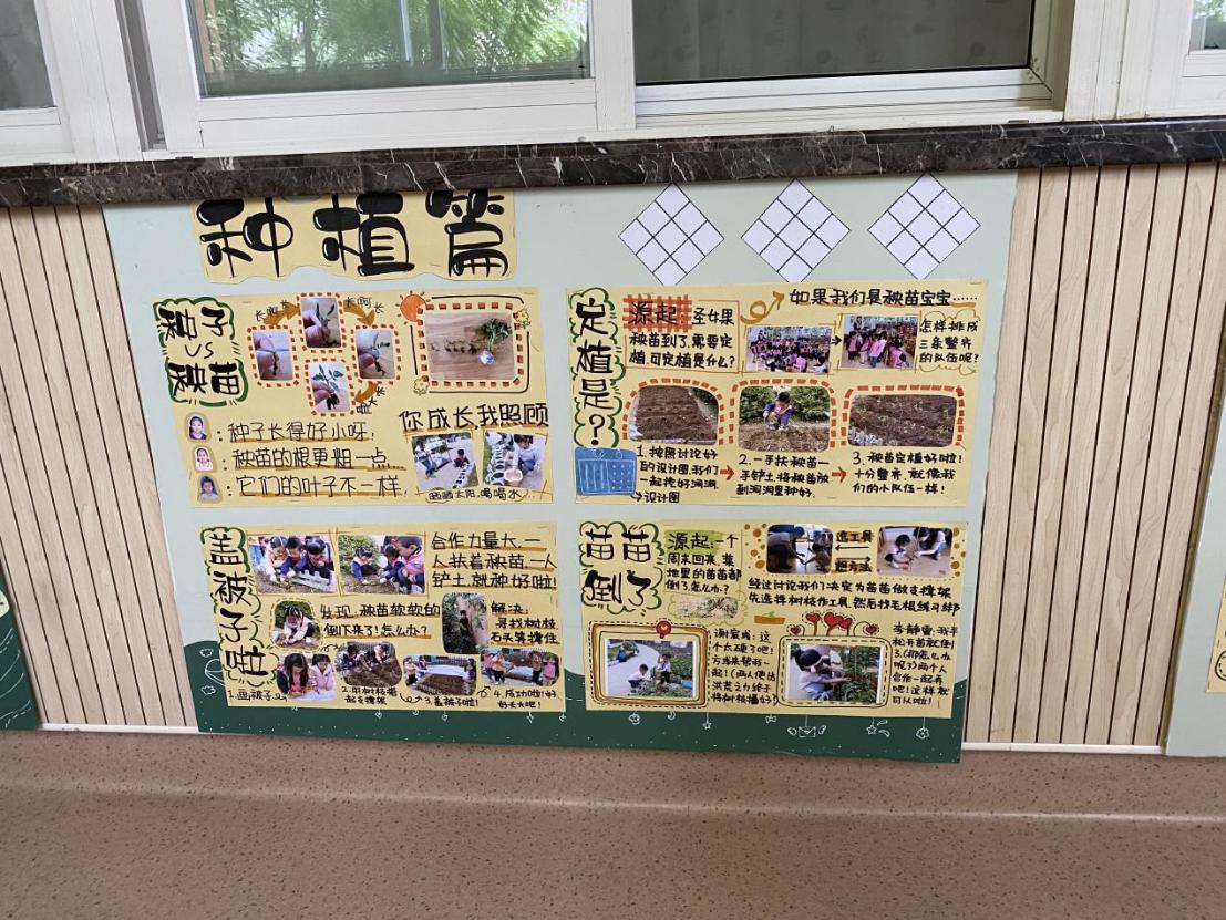 教研组动态_html_4ba9051d.jpg