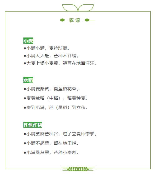 20210521祥和园区小满节气活动_html_44cc8593.jpg
