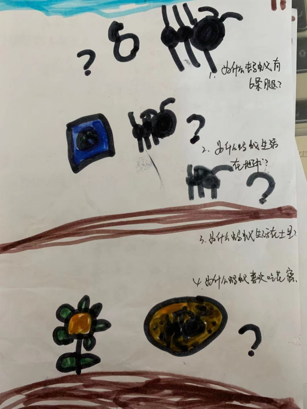 20210113【班级动态】大一班项目课程分享——蚂蚁探秘之旅_html_m471c7dce.png