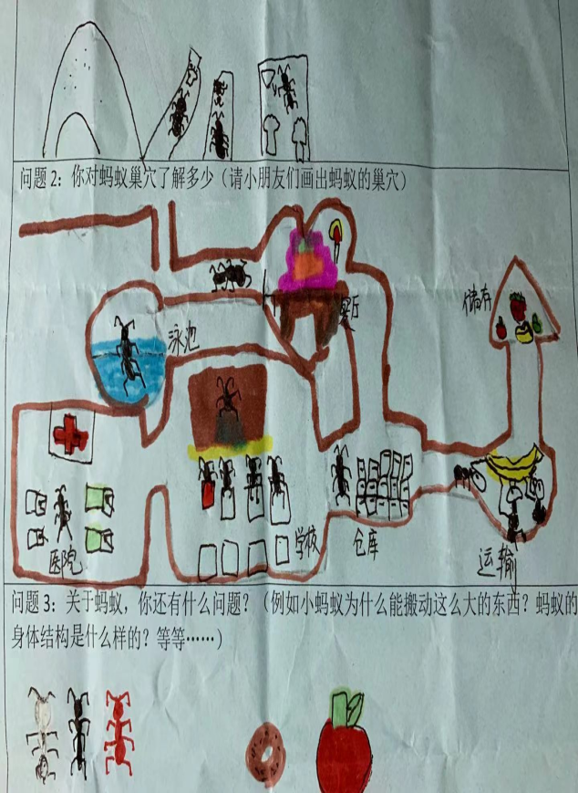 20210113【班级动态】大一班项目课程分享——蚂蚁探秘之旅_html_m42d46795.png