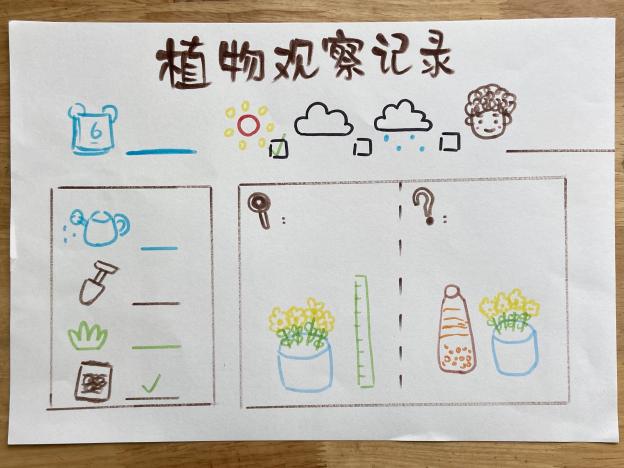 【生活燕幼&middot;园区动态】下庙分园：“聚焦观察，走进种植 ” ——探究满足不同幼儿年龄段幼儿特点的种植观察记录形式_html_4885403.jpg