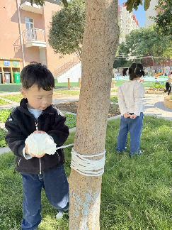 2041107燕幼中心园 立冬活动_html_5127843f.png
