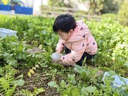 20230224燕幼中心园：新学期，新变化_html_m4217c469.jpg